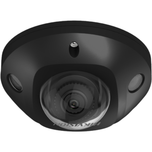 DS-2CD2546G2-IS Black
